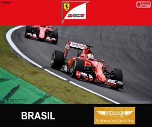 Puzzle Vettel, 2015 Βραζιλίας Γκραν Πρι